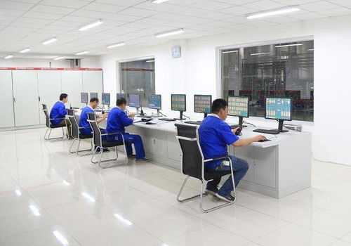 功能食品配料麥芽糖醇 技術(shù)發(fā)展、市場應(yīng)用與技術(shù)服務(wù)全景分析